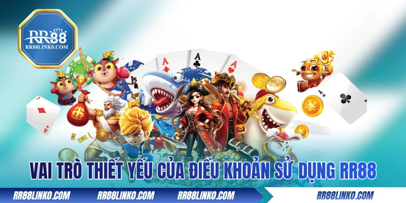 Vai trò thiết yếu của điều khoản sử dụng RR88 