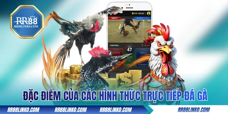 Khám phá đặc điểm của các hình thức trực tiếp đá gà